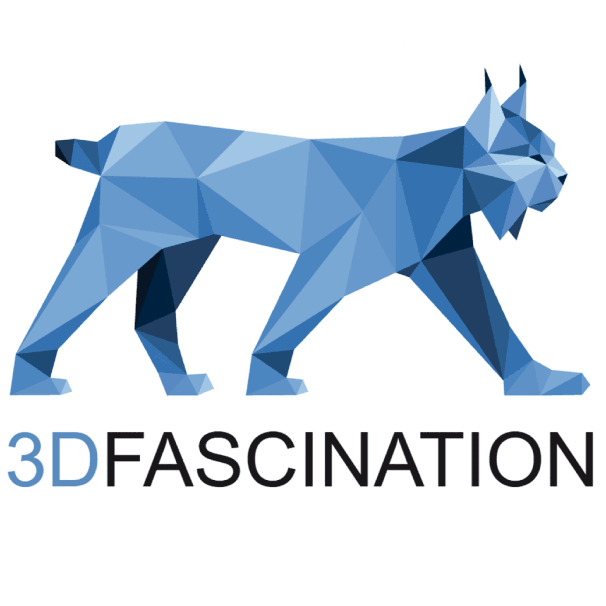 3DFacination